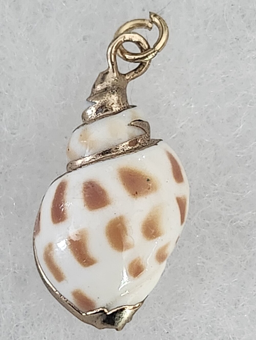 Seashell Pendant Brown & White With Gold Tone Trim & Bail - Picture 1 of 11